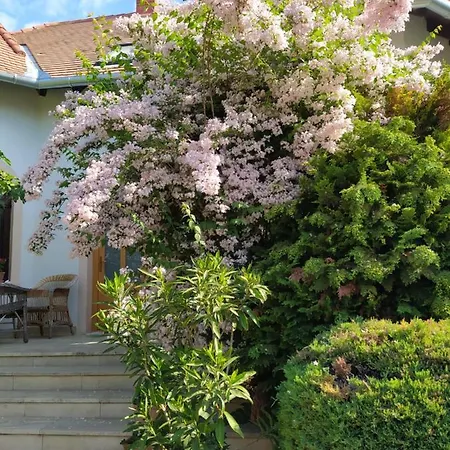 Casa de hóspedes Frutta 3*