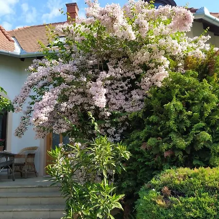 Casa de hóspedes Frutta