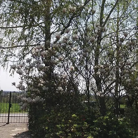 Frutta Cserszegtomaj