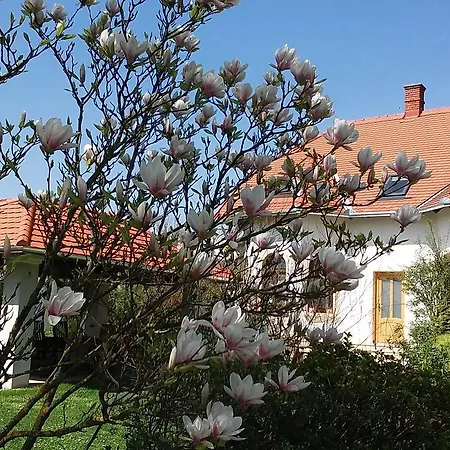 Frutta Casa de hóspedes