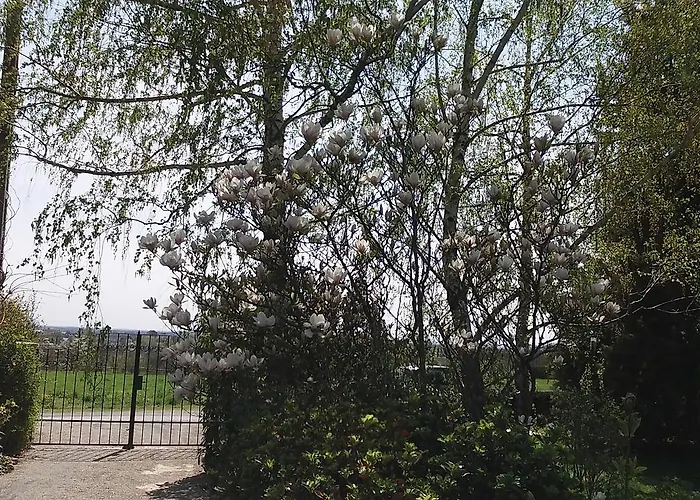 Frutta Cserszegtomaj